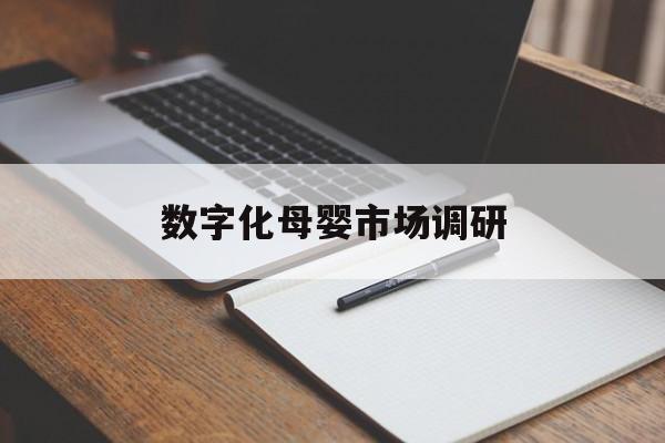 赣州市数字化母婴市场调研(数字化母婴市场调研报告)